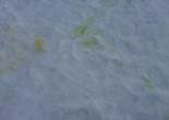 20170310_105624 (1280x720).jpg (29129 bytes)